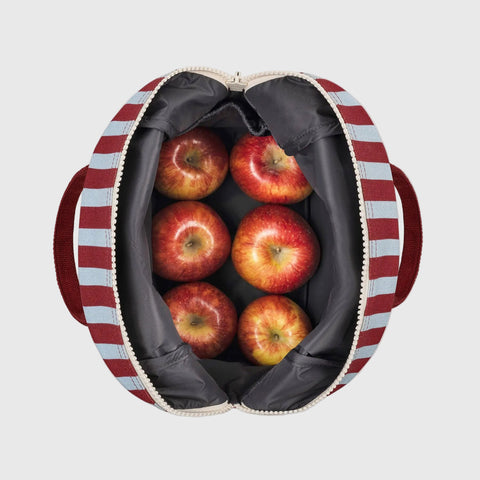 Zipper Lunch in Awning Stripe Chili Pepper