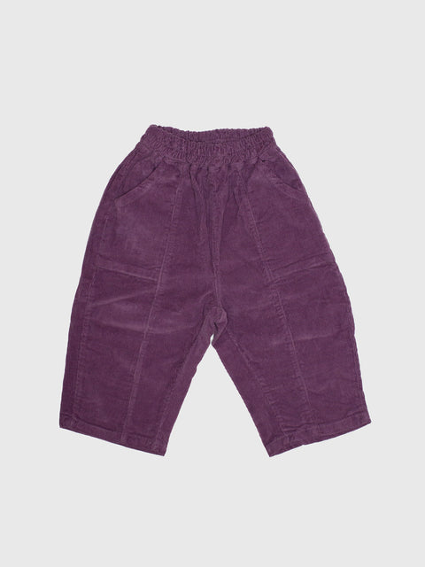 Corduroy Pants in Deep Plum