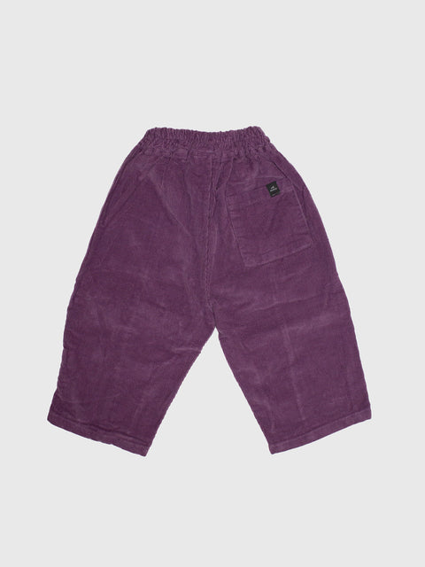 Corduroy Pants in Deep Plum