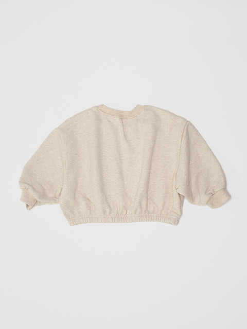 Cropped Flower Sweatshirt in Beige