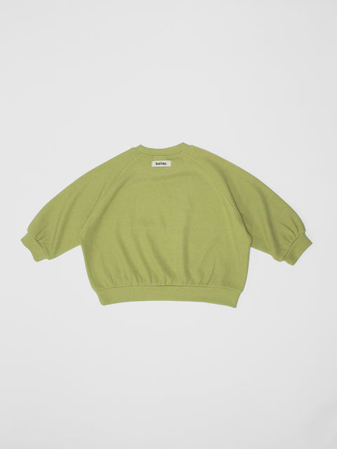 Super Soft Sweatshirt in Lime