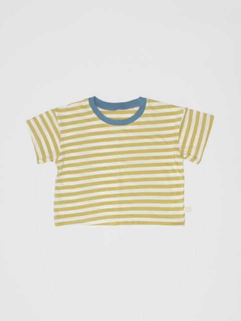 Boxy Crop Stripe Tee in Lime/White