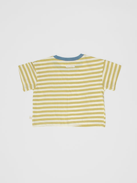 Boxy Crop Stripe Tee in Lime/White