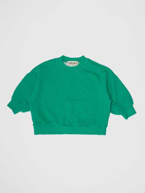 Distressed Sweatshirt in Green