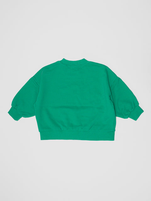 Distressed Sweatshirt in Green