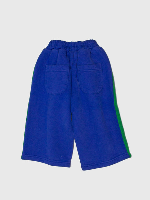 Blue pants with a green stripe on a white background