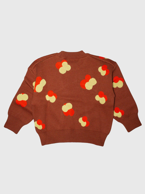 Fynn Jacquard Knit Sweater in Brown