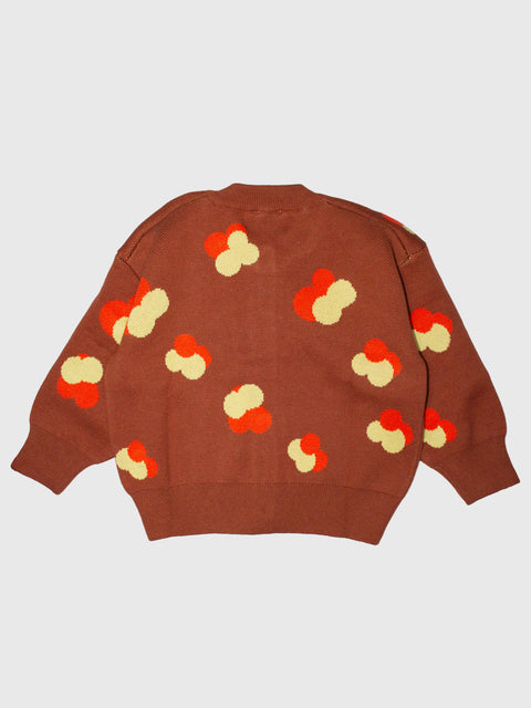Finneas Jacquard Knit Cardigan in Brown