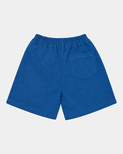Double Stripe Shorts in Blue