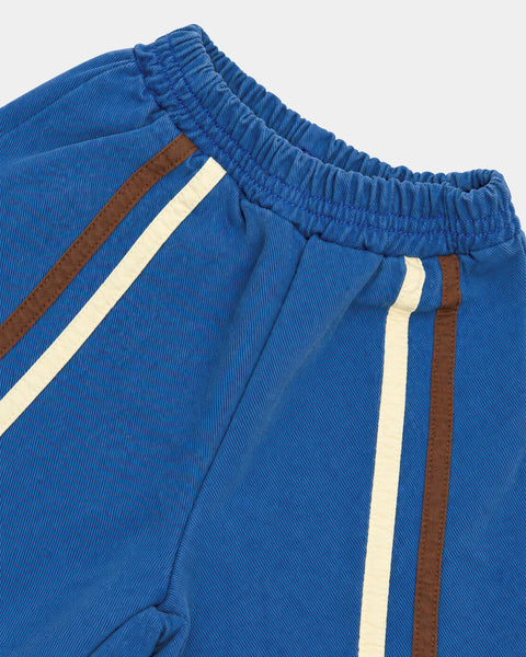Double Stripe Shorts in Blue
