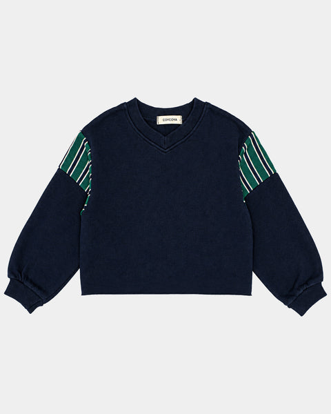 Contrast Stripe V-Neck Sweatshirt in Navy