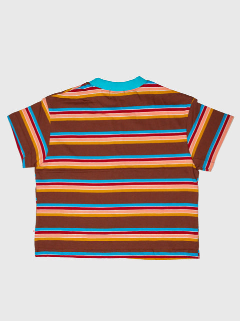 Retro Striped Boxy Tee in Brown/Teal Multi