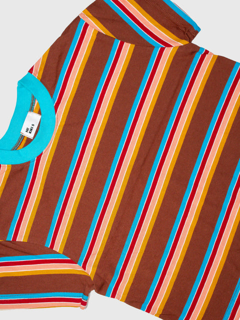 Retro Striped Boxy Tee in Brown/Teal Multi