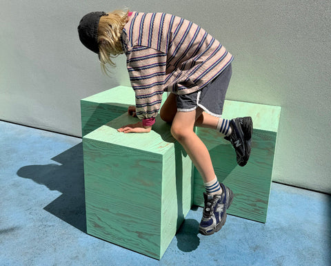 Track Shorts in Navy